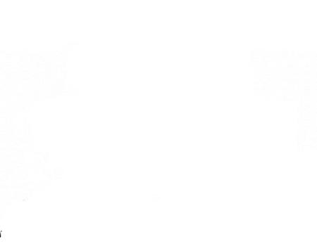 SALINAS Y PÉREZ, S.L.